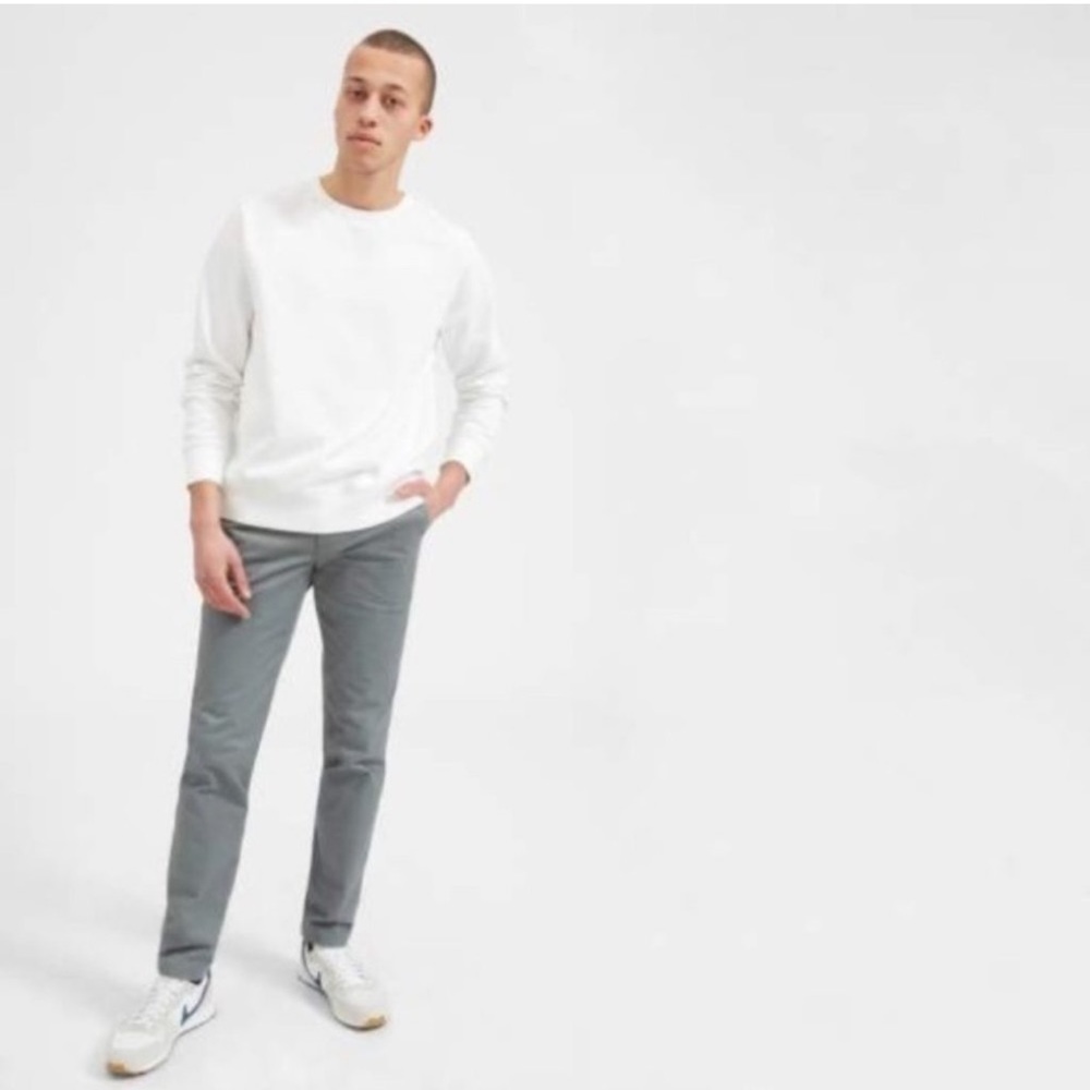 Everlane Slim Straight Leg Flat Front Pants